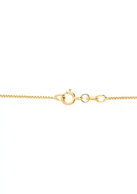 Solid Box Chain in 14K Yellow Gold