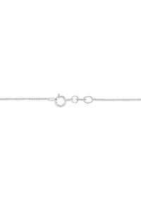 Solid Box Chain in 14K White Gold