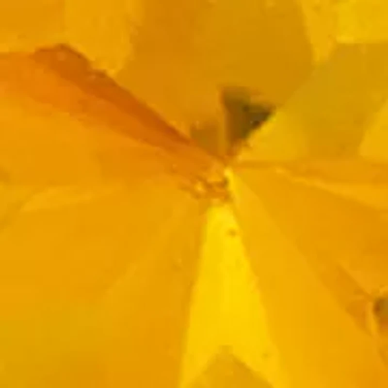 Citrine Stud Earrings in 14K Yellow Gold