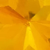Citrine Stud Earrings in 14K Yellow Gold