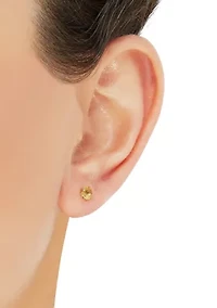 Citrine Stud Earrings in 14K Yellow Gold