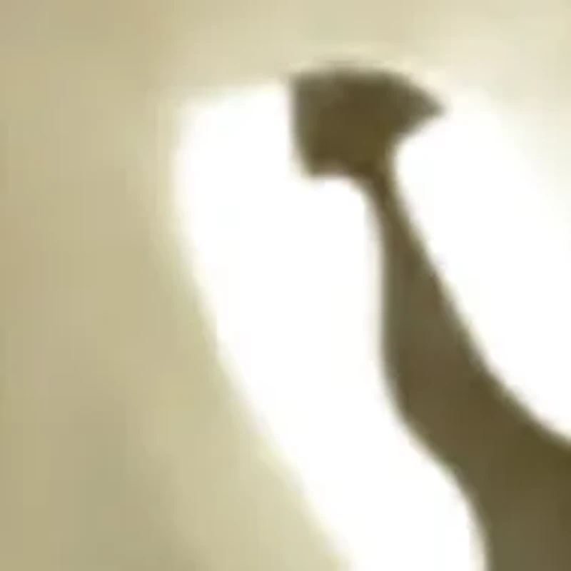 Small Two Tone Hoop Earrings in 14K Yellow Gold