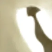 Small Two Tone Hoop Earrings in 14K Yellow Gold