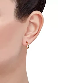  Huggie Hoops Earring in 10K Yellow Gold