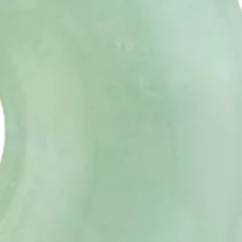 Circle Natural Jade Pendant Necklace with 18" Rope Chain in 10K Yellow Gold