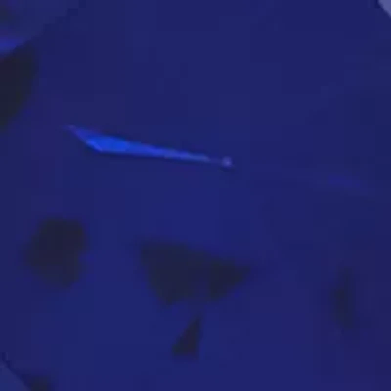 Lab Created 1/10 ct. t.w. Diamond and Created Sapphire Pendant Necklace with 18" Rope Chain in 10K Yellow Gold