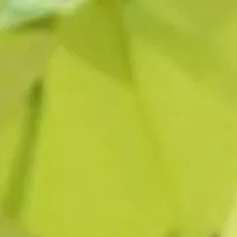 1/10 ct. t.w. Diamond and Peridot Pendant Necklace with 18" Rope Chain in 10K Yellow Gold