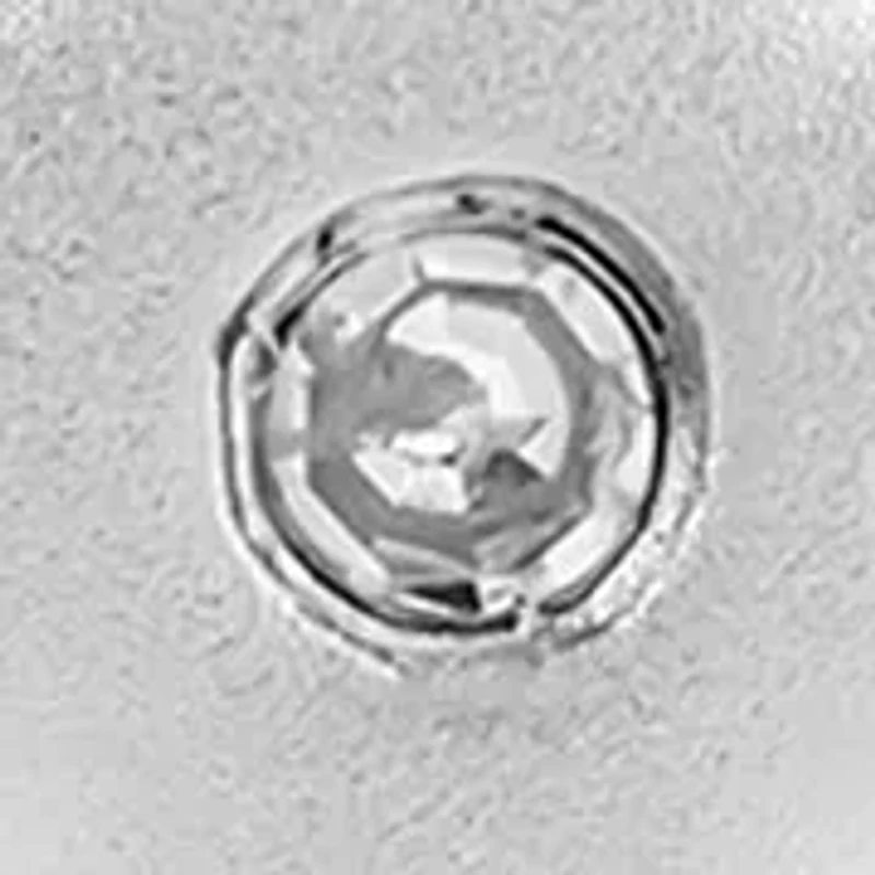 Diamond Accent Small Cross Kid Stud Earrings in Sterling Silver