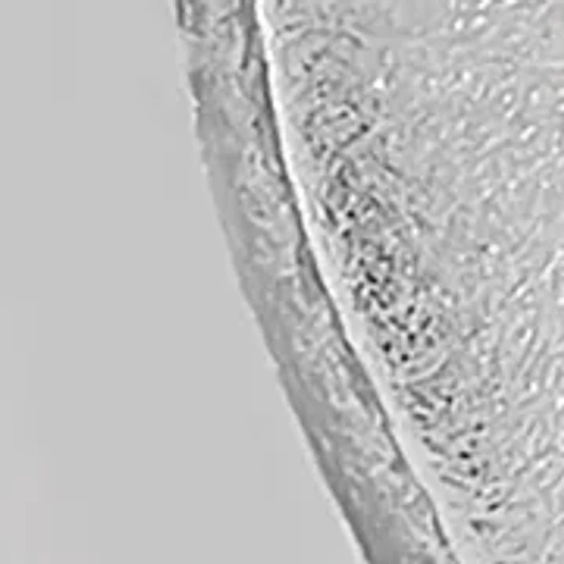  1/10 ct. t.w. Diamond  Wave Stud Earrings in Sterling Silver