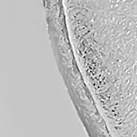  1/10 ct. t.w. Diamond  Wave Stud Earrings in Sterling Silver