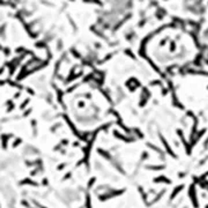 ct. t.w. Lab-Grown Diamond Earrings in Sterling Silver