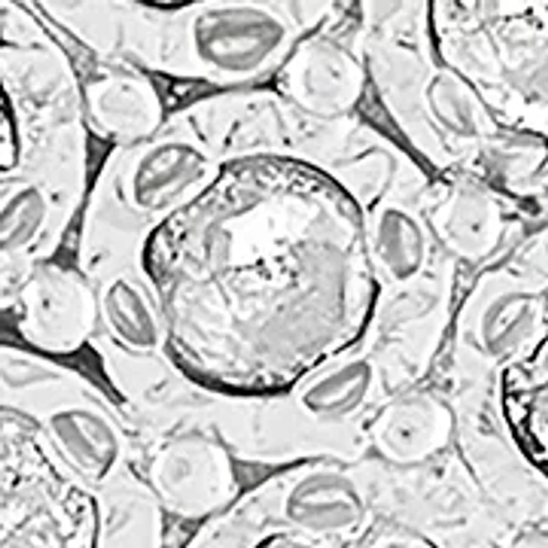 1/10 ct. t.w. Diamond Stud Earrings in Sterling Silver