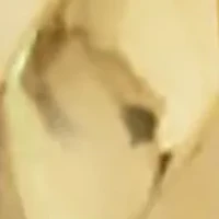 Hoop Earrings in 14K Yellow Gold