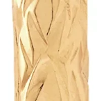 Crystal Cut Oval Tube Hoop Earrings in 14K Yellow Gold