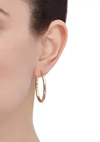 Crystal Cut Oval Tube Hoop Earrings in 14K Yellow Gold
