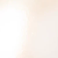 8-8.5 Millimeter White Round Pearl Stud Earrings in 14K Yellow Gold