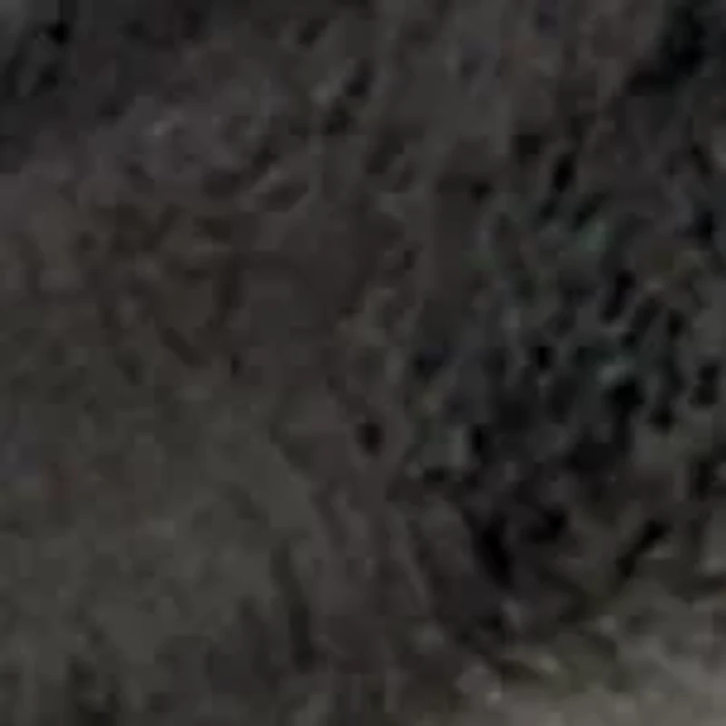 0.03 ct. t.w. Diamond Dachshund Pendant in Sterling Silver