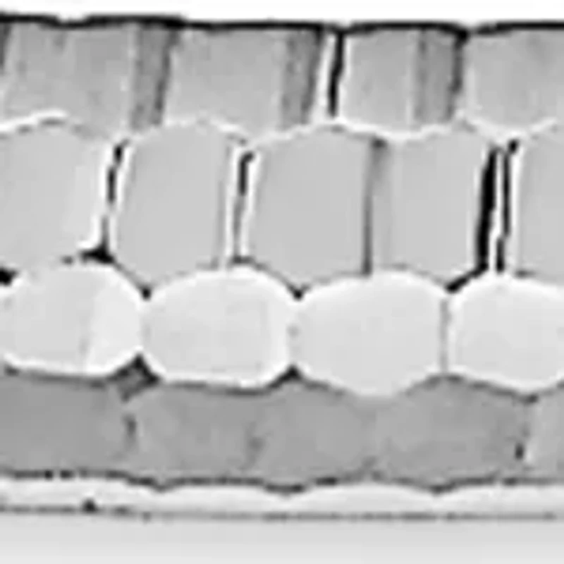 Sterling Silver Bangle Bracelet