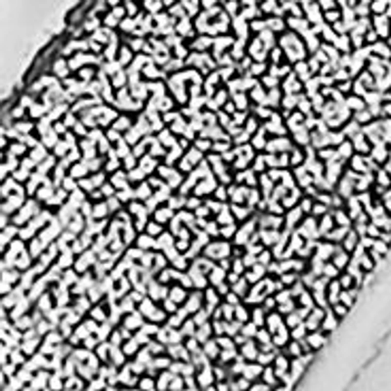 40 Millimeter Glitter Twist Hoop Earrings in Sterling Silver