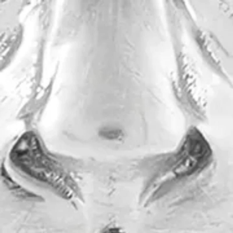Lion in Frame Pendant with 20" Box Chain in Sterling Silver