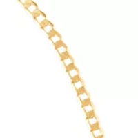 Velet Curb Chain Necklace in 10K Yellow Gold