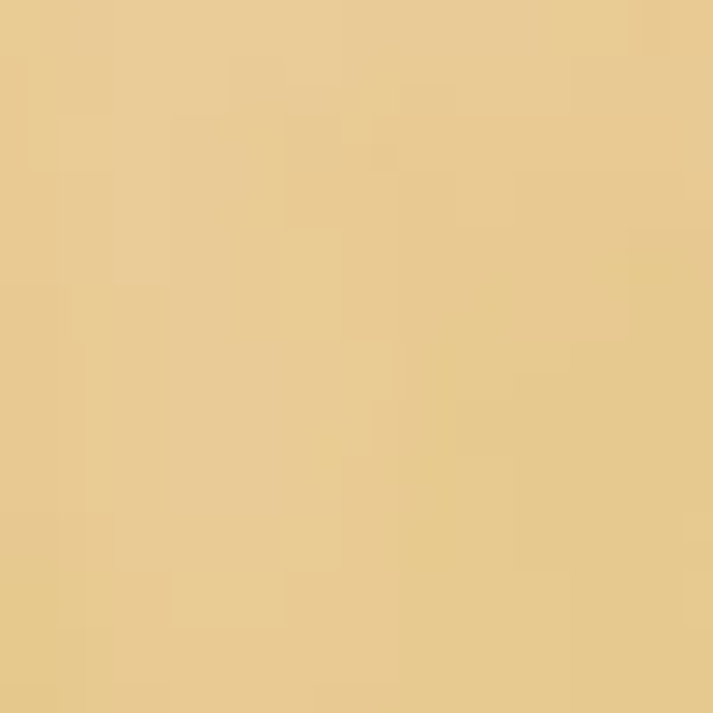 Huggie Hoop Earrings in 10K Yellow Gold