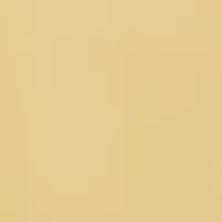 Huggie Hoop Earrings in 10K Yellow Gold