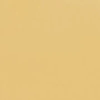 Heart with Toggle Necklace in 10K Yellow Gold