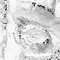 Christ Head Pendant in 10K Yellow and White Gold