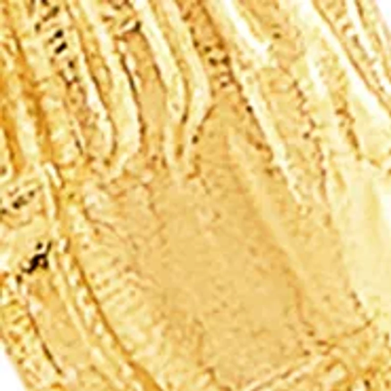 Praying Hand Pendant Necklace with 18" Rope Chain in 10K Yellow Gold