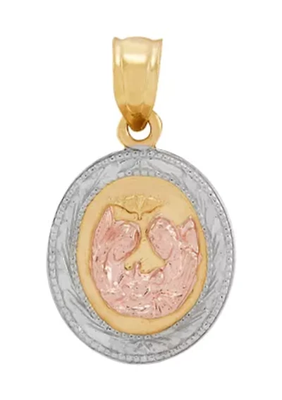 Oval Mi Bautizo (My Baptism) Pendant in 10K Yellow and Rose Gold
