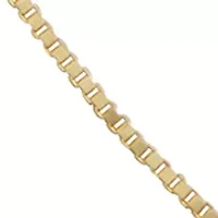 Solid Box Chain Necklace in 10K Yellow Gold