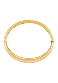 Double Rows Bangle Bracelet in Two Tone Metal