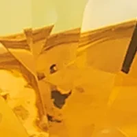 2.5 ct. t.w. Cinnamon Citrine®, 1/6 Nude Diamonds™, 1/20 Chocolate Diamonds® Ring 14K Honey Gold™