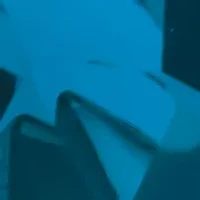 3.25 ct. t.w. Deep Sea Blue Topaz™, 1/2 ct. t.w. Nude Diamonds™ Ring set in 14K Vanilla Gold®