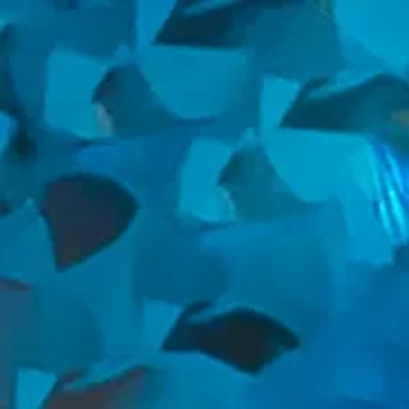 Chocolatier® Ring featuring 2 5/8 cts. Deep Sea Blue Topaz™, 1/4 cts. Chocolate Diamonds® set in 14K Strawberry Gold®