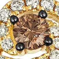 1/5 ct. t.w. Chocolate Diamonds®, 1/4 ct. t.w. Nude Diamonds™ Ring in 14K Honey Gold™