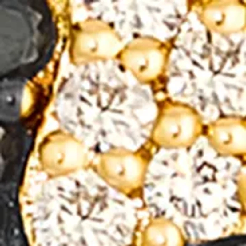 Animal Print Earrings featuring 1/15 ct. t.w. Chocolate Diamonds®, 1/5 ct. t.w. Blackberry Diamonds®, 3/8 ct. t.w. Nude Diamonds™ set in 14K Honey Gold™