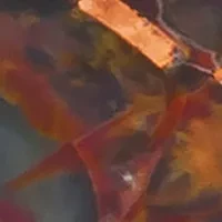 4.75 ct. t.w. Aquadite Black, 5/8 ct. t.w. Chocolate Diamonds®, 3/8 ct. t.w. Nude Diamonds™ Ring in 14K Honey Gold™