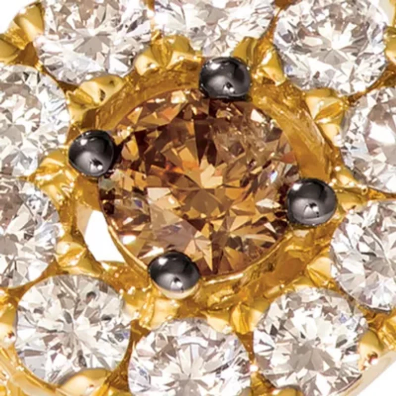  1/6 ct. t.w. Chocolate Diamonds®, 1/2 ct. t.w. Nude Diamonds™ Ring in 14k Honey Gold™