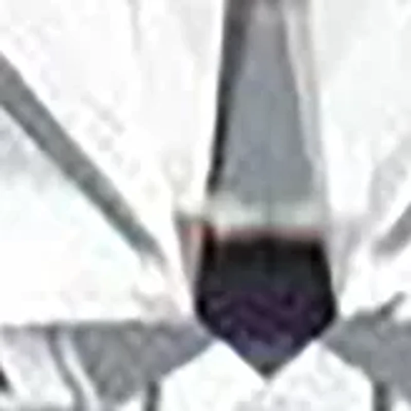 4.41 ct. t.w. Lab Created Moissanite Radiant Halo Ring