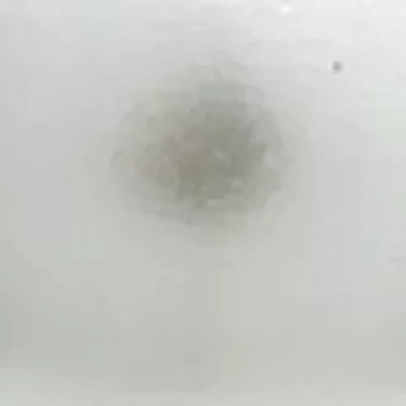 7 Millimeter Freshwater Pearl Drop Earrings in Sterling Silver