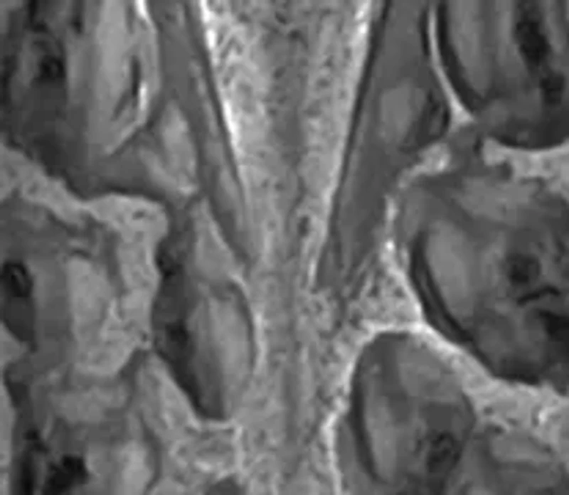 Antique Dagger Pendant Necklace in Gunmetal Stainless Steel