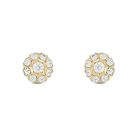 1/2 ct. t.w. Diamond Stud Earring In 10K Yellow Gold
