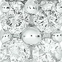 1/2 ct. t.w. Diamond Hoop Earring in Sterling Silver