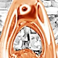 WEB 14KR 1/3CTW PRI DIA ENG RING