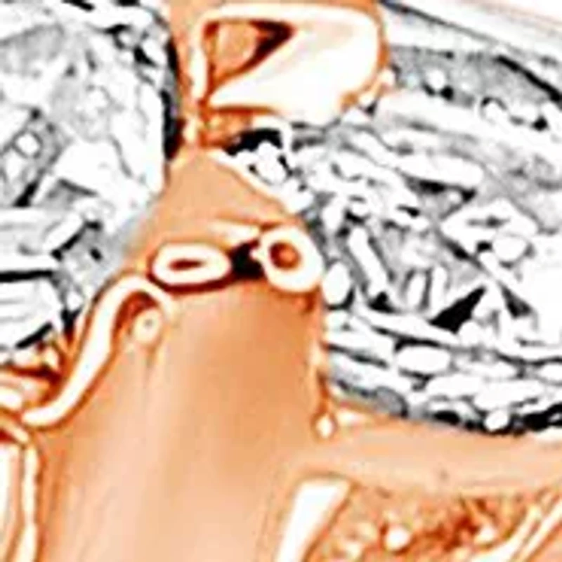 WEB 14KR LR 1/2CTW RD/PRI DIA ENG RING