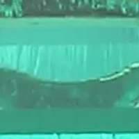 Lab Created 18K Yellow Gold Plated Sterling Silver Women's Gemstone Stackable Ring