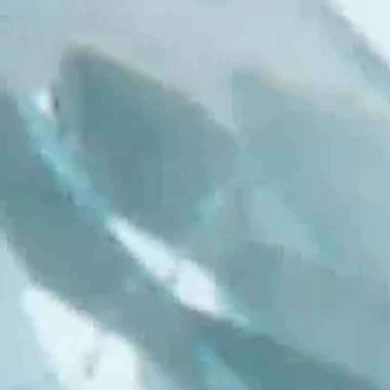 Genuine Gemstone Butterfly Earrings Sterling Silver