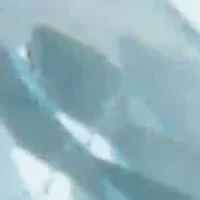 Genuine Gemstone Butterfly Earrings Sterling Silver